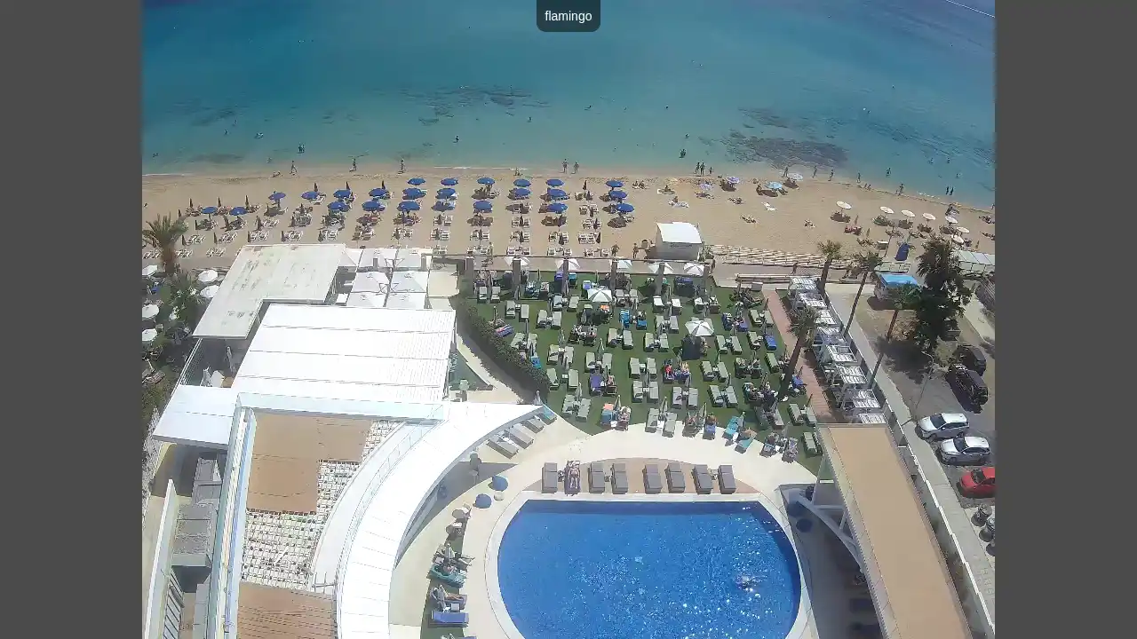 Webcam-Aufnahme aus :city — 19. Juni 2026 08:00