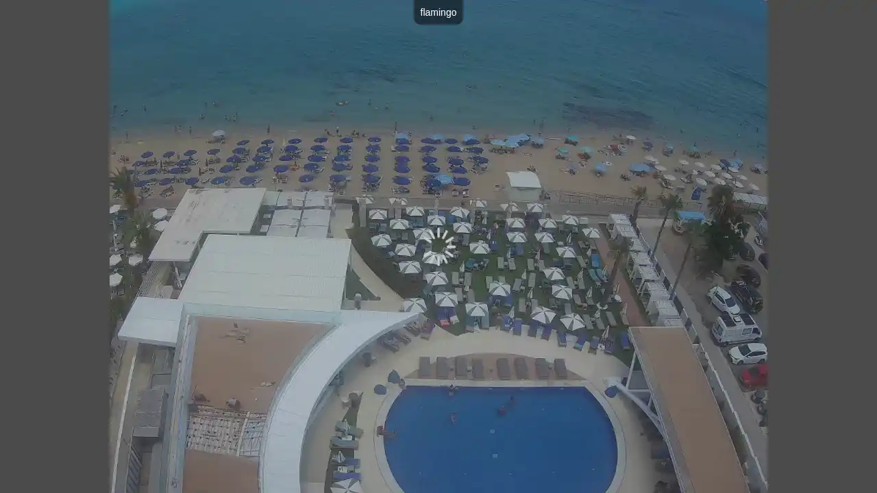Webcam-Aufnahme aus :city — 20. Juni 2026 11:00